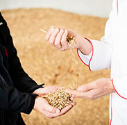 Martin Wilmsen und Norbert Büsch mit Getreide in der Hand