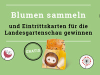 Verlosung Landesgartenschau 2020