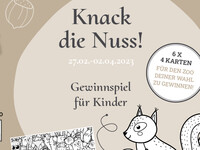 Knack die Nuss