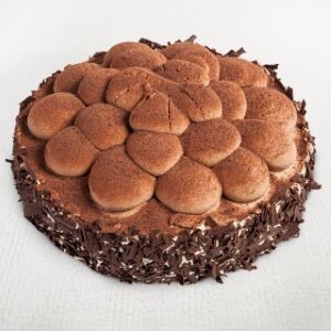 Mousse au Chocolate Torte